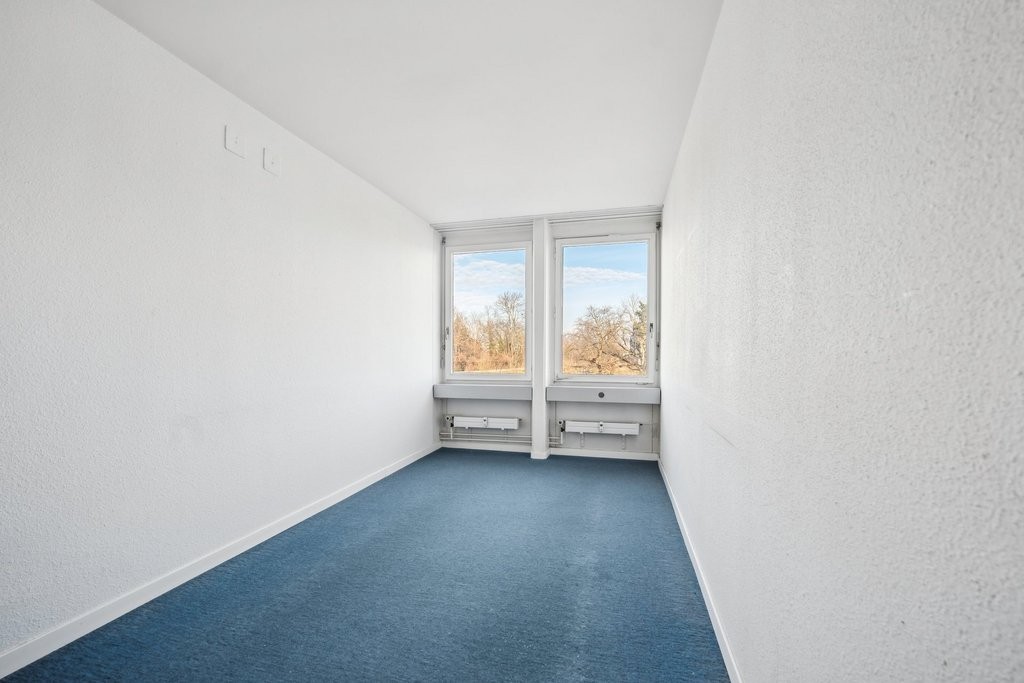158m² practice, photo 5 of 10