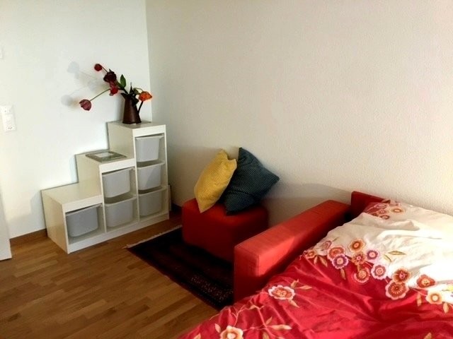 4 ½ rooms furnished flat
