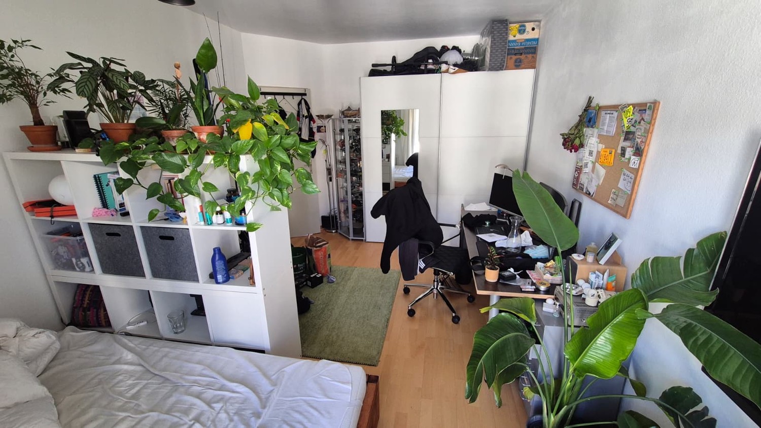 Chambre dans un appartement partagé