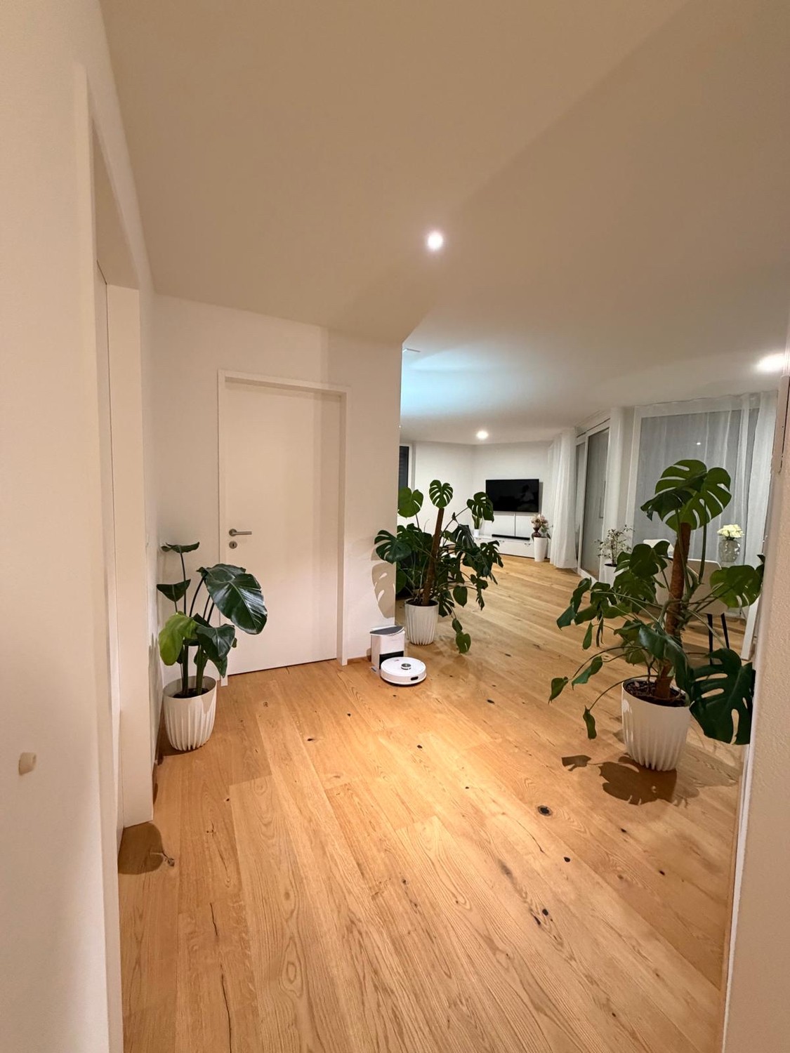 1 ½ rooms apartment
