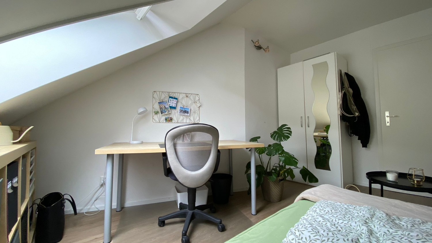 Room in a shared flat