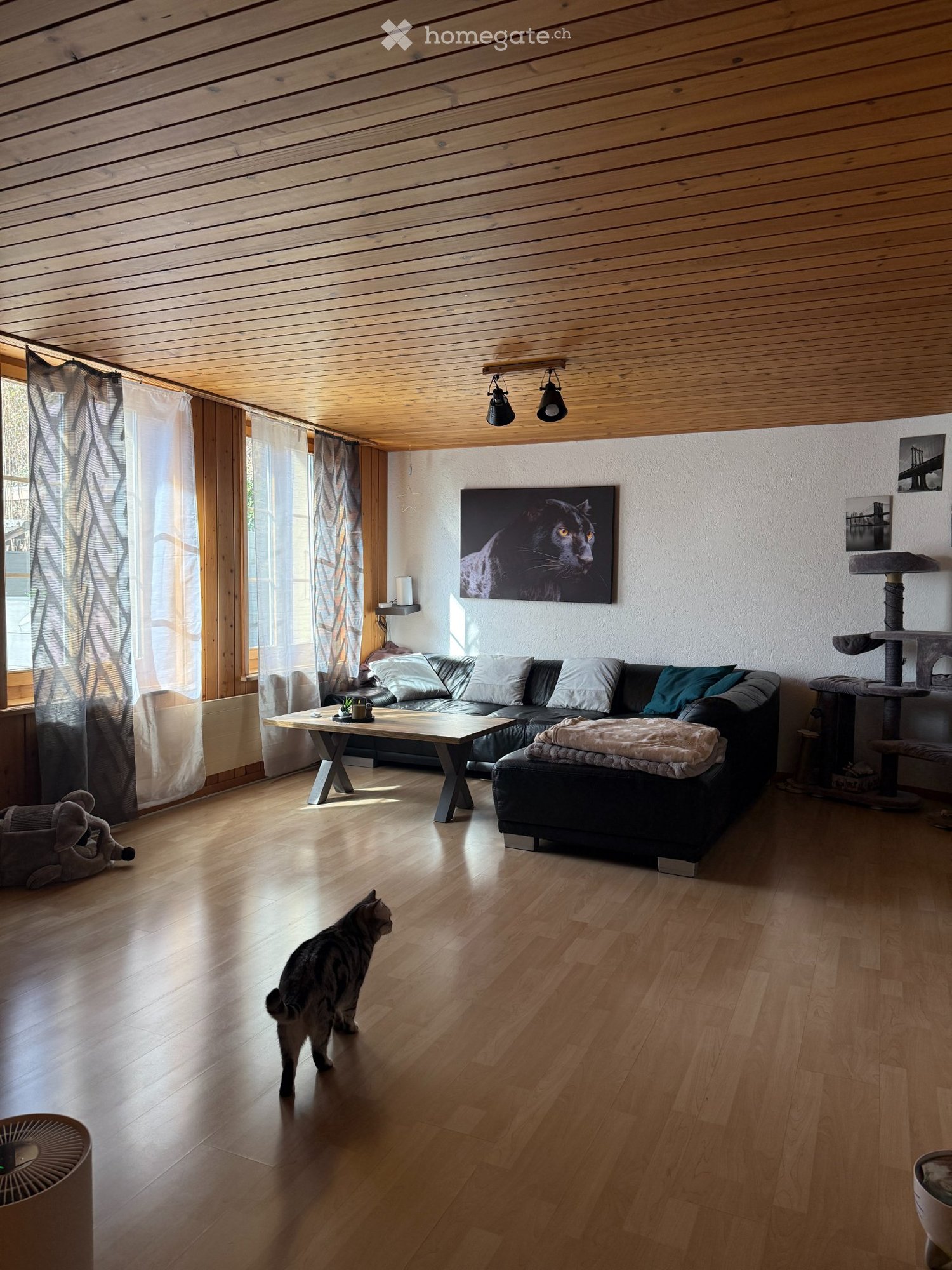 1 room single room