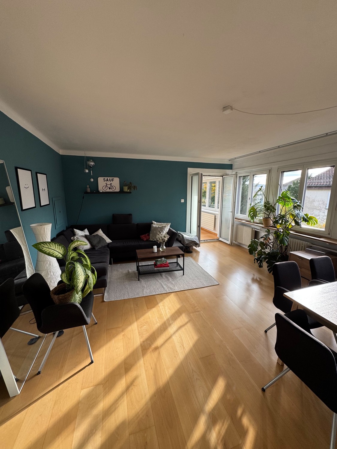 2 ½ rooms apartment