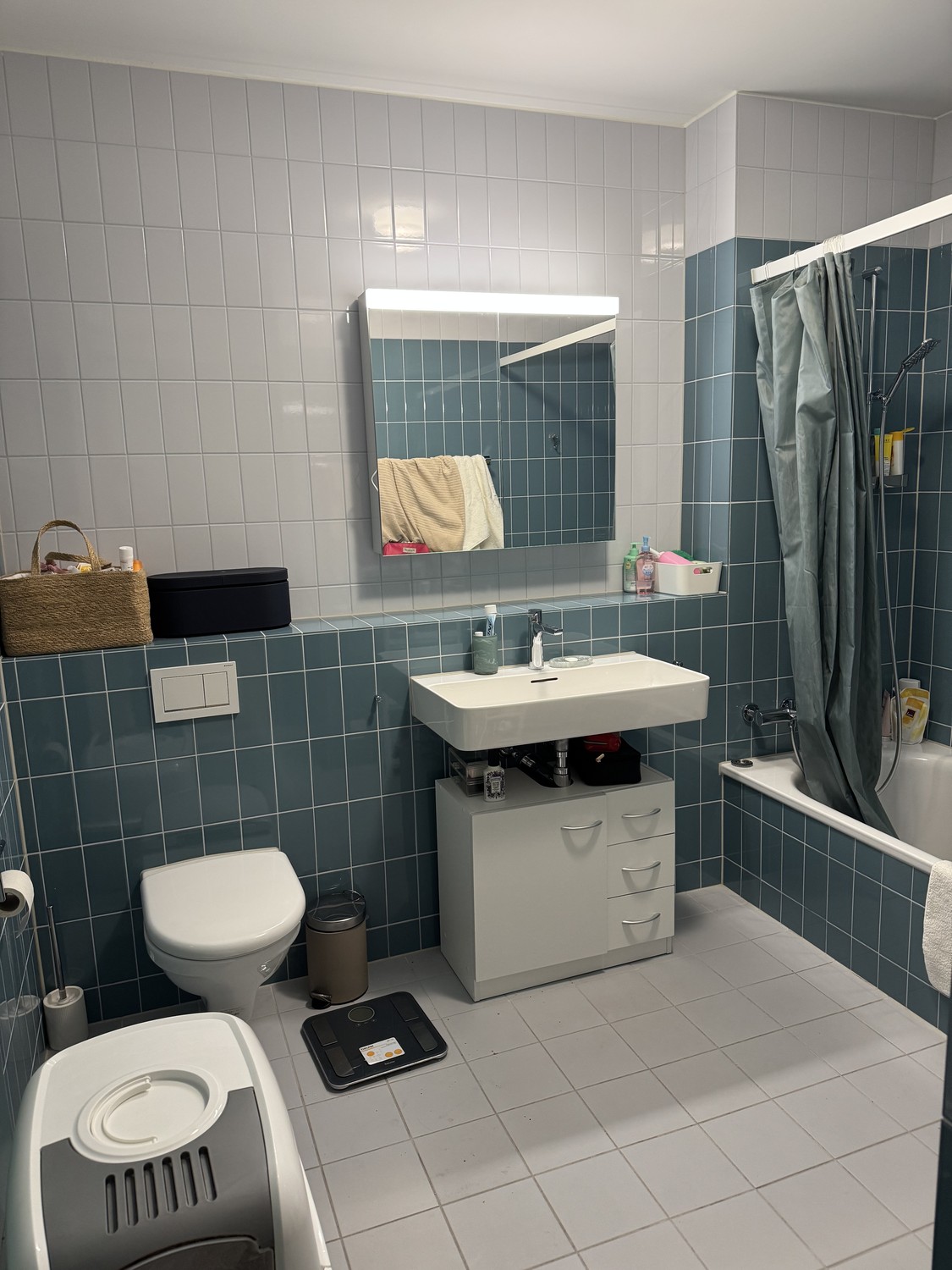 2 ½ rooms apartment
