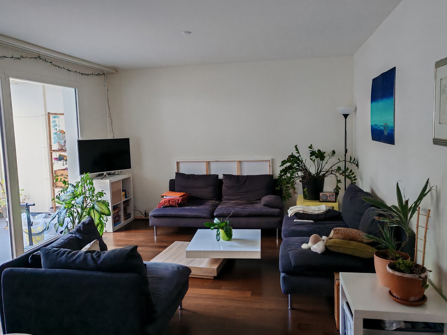 Zimmer in einer WG