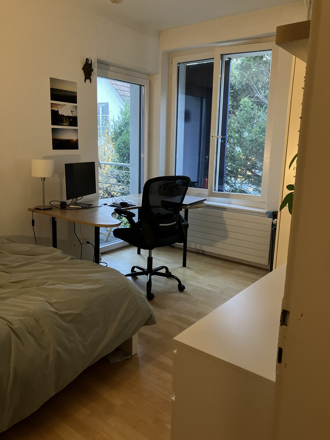 Room in a shared flat