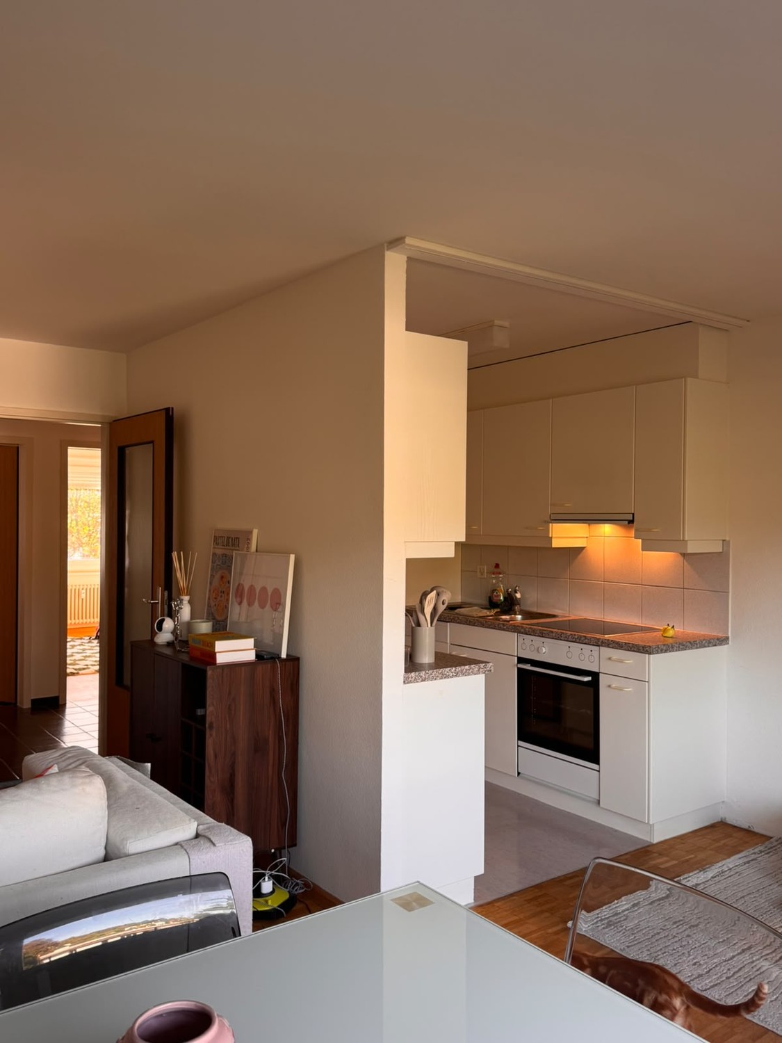 2 ½ rooms apartment