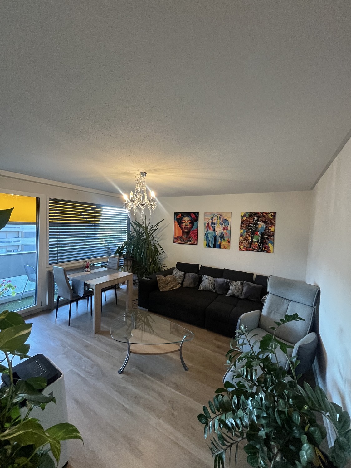 Chambre dans une colocation, photo 2 sur 5