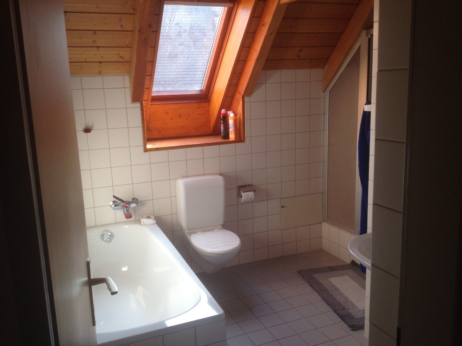 2 ½ rooms apartment