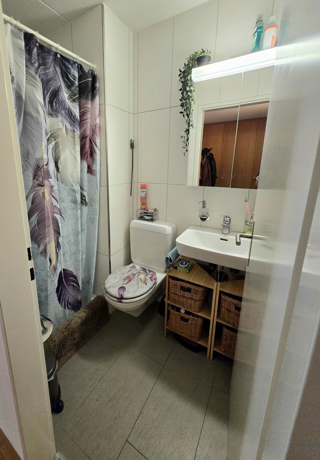2 ½ room apartment