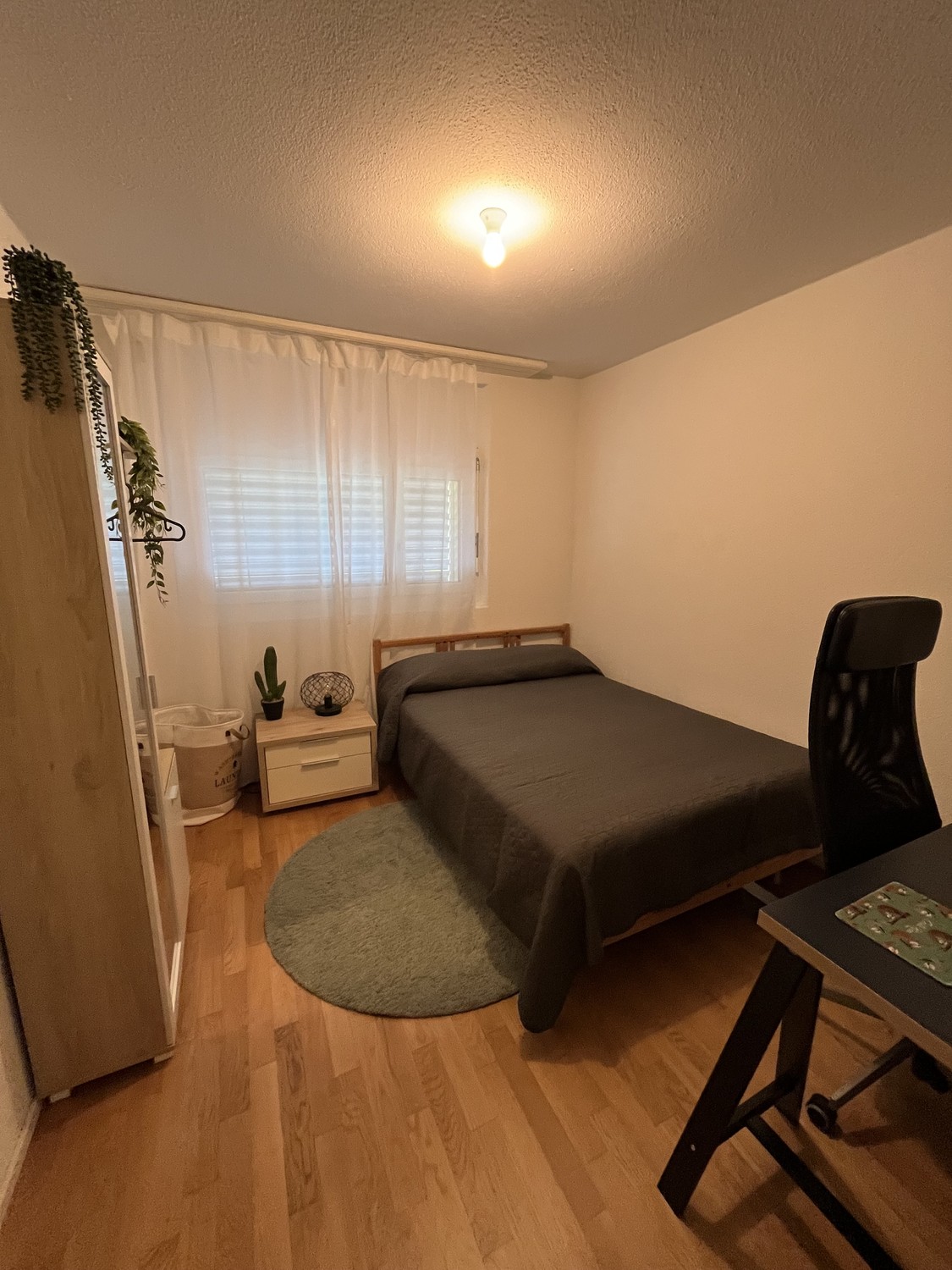 1 ½ Zimmer Wohnung