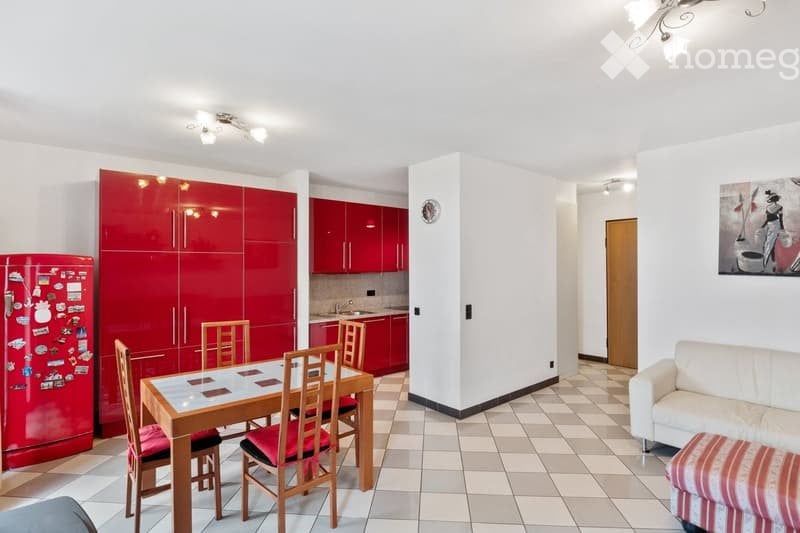 Appartement de 3 ½ pièces