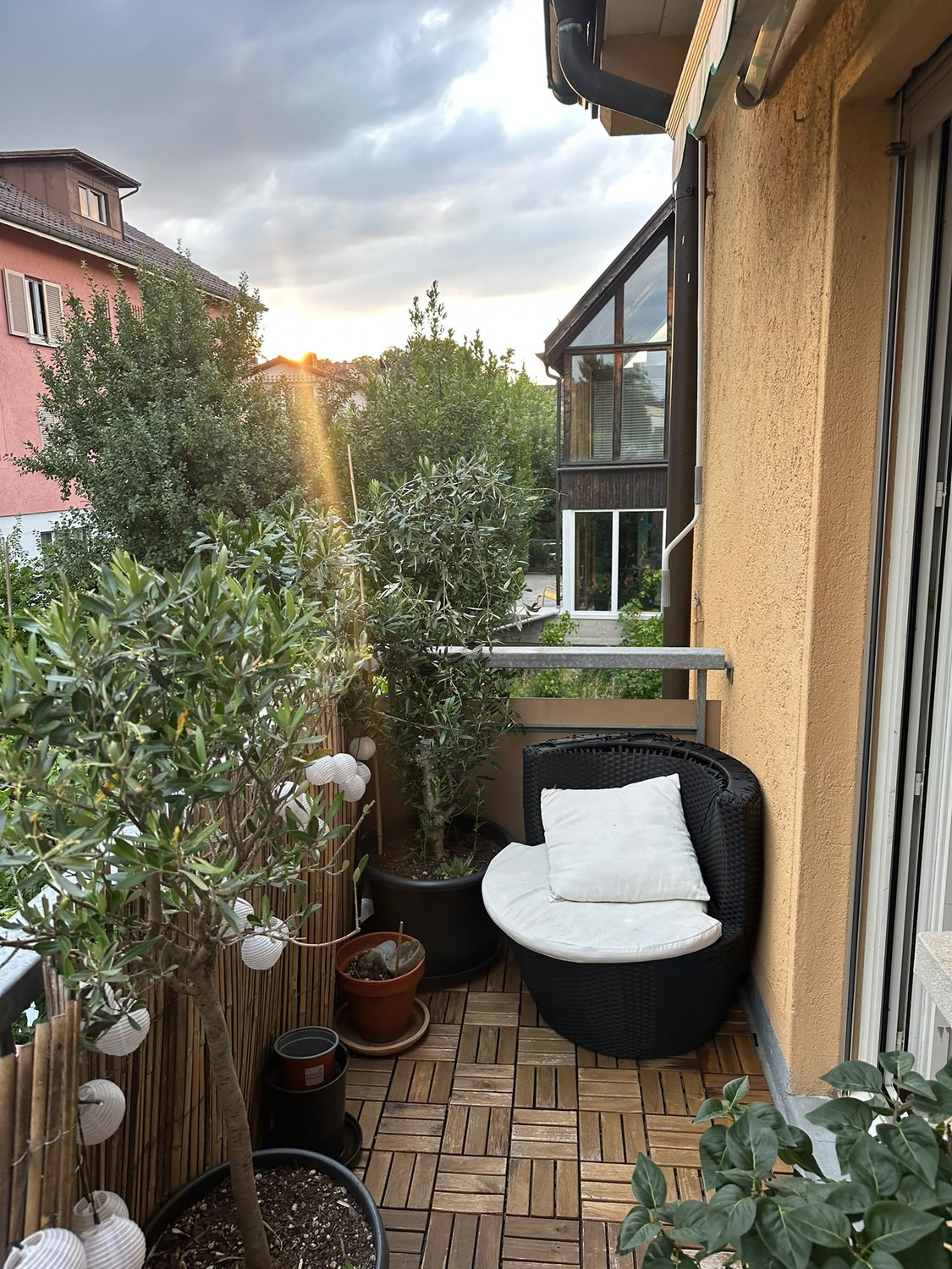 Room in a shared flat