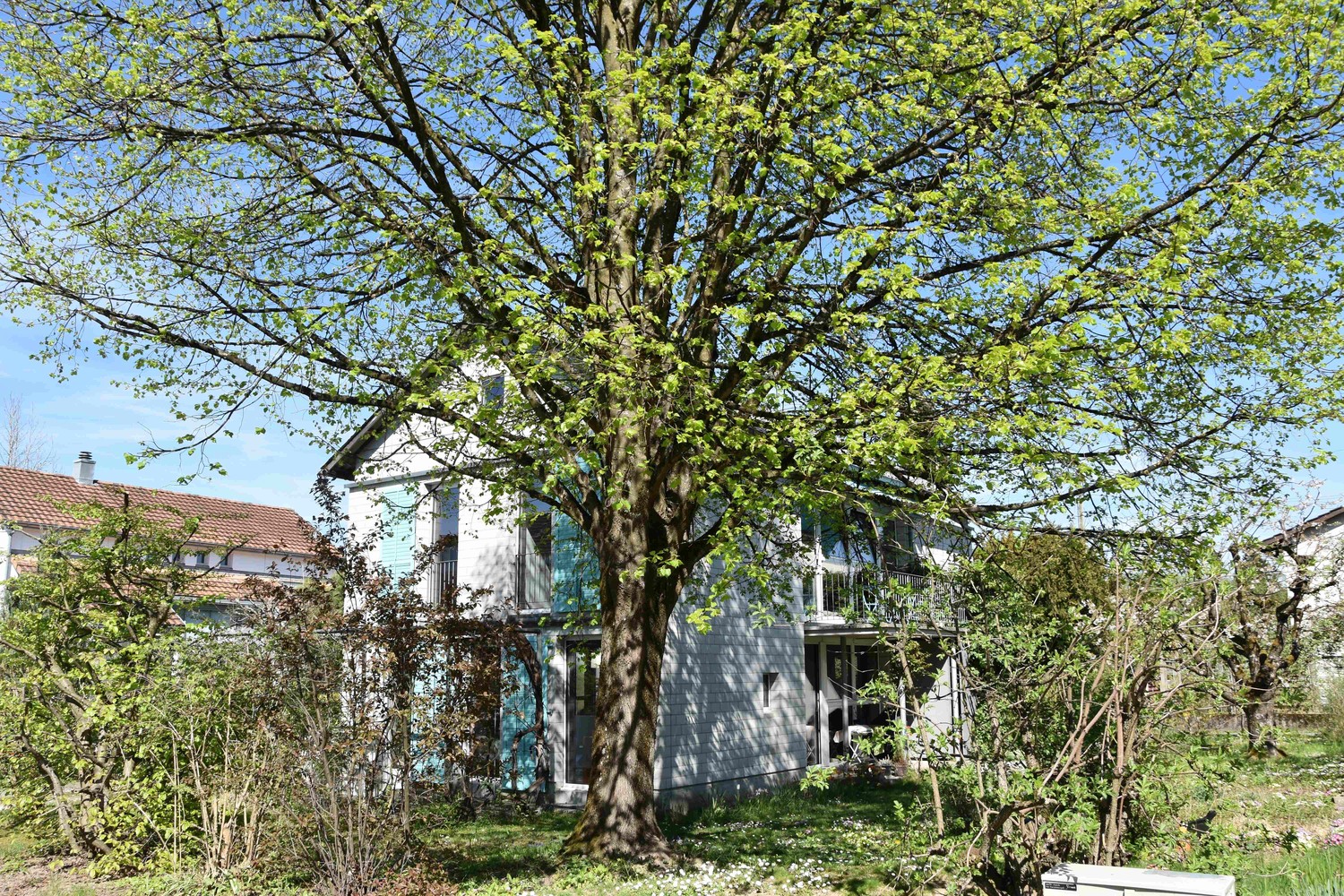 6 rooms single house