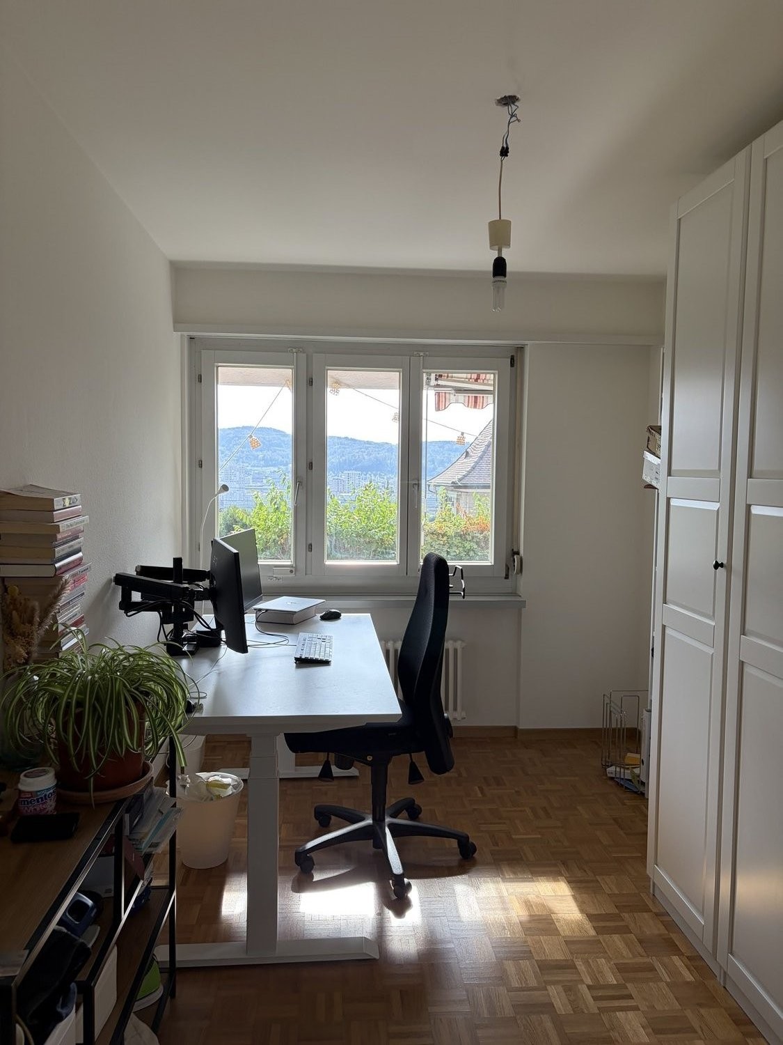 3 ½ room apartment
