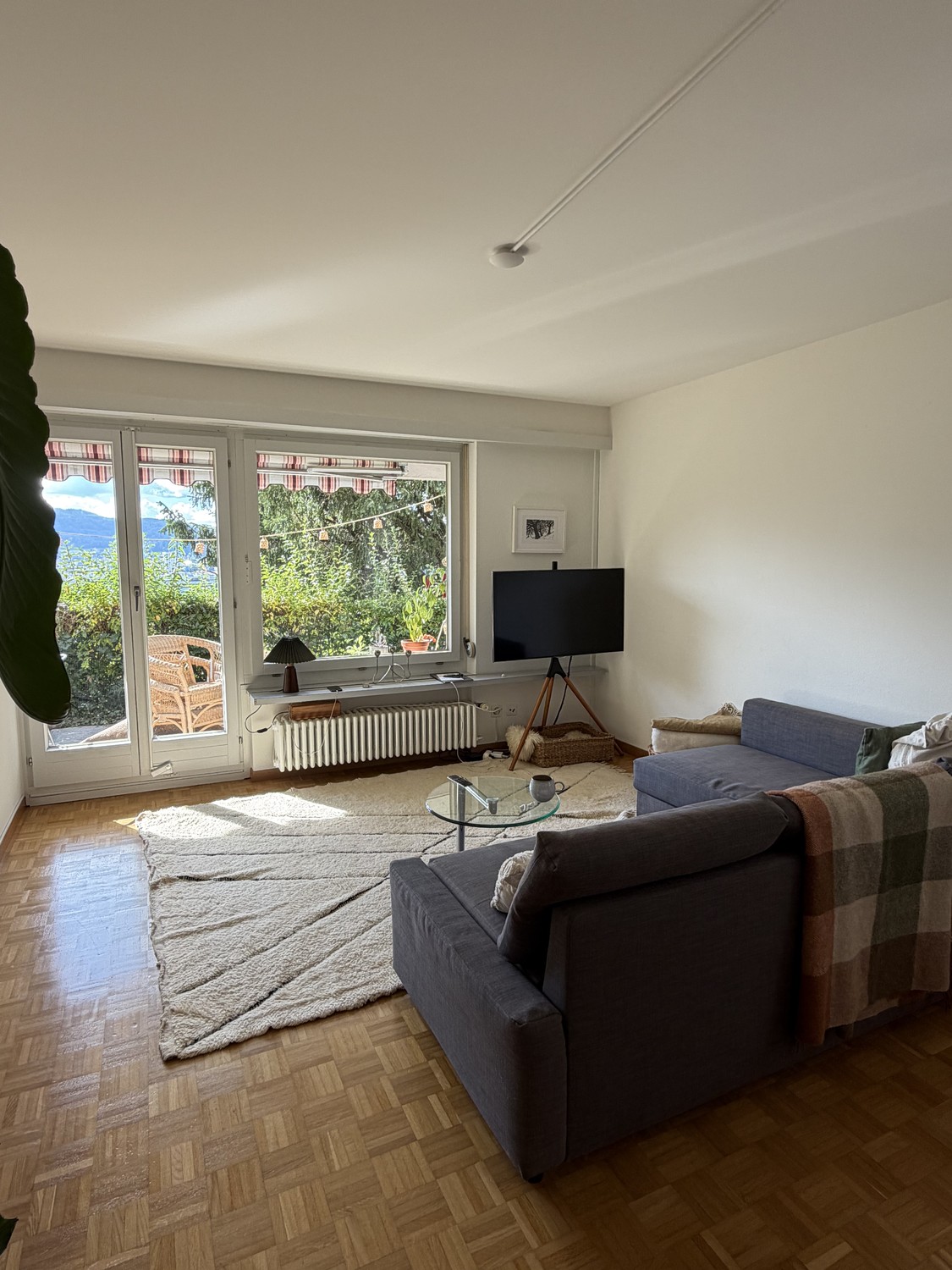 3 ½ room apartment