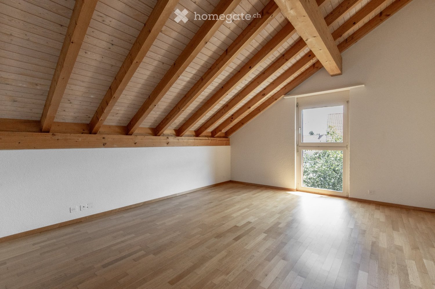 Appartamento di 2 ½ locali, foto 4 di 5