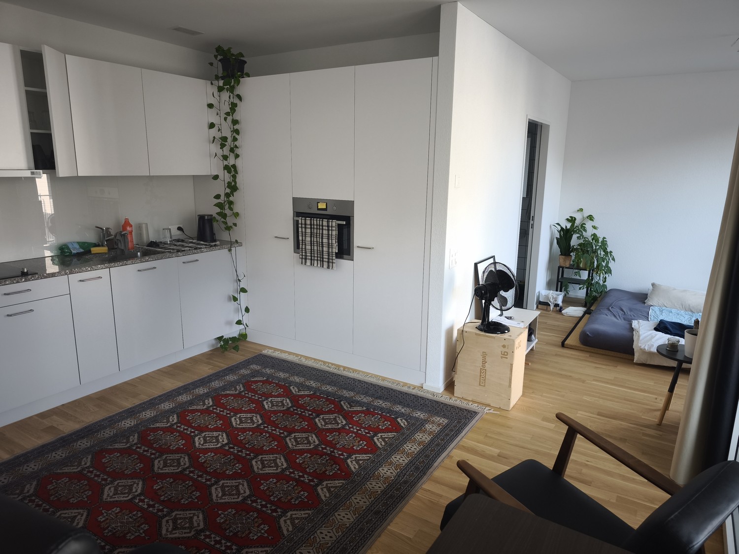 Appartement de 1 ½ pièce