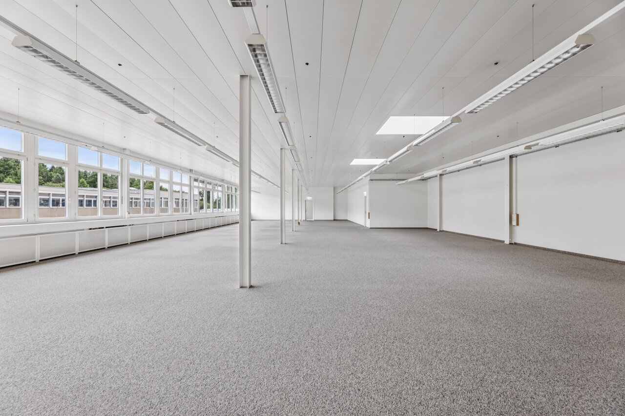 331m² bureau