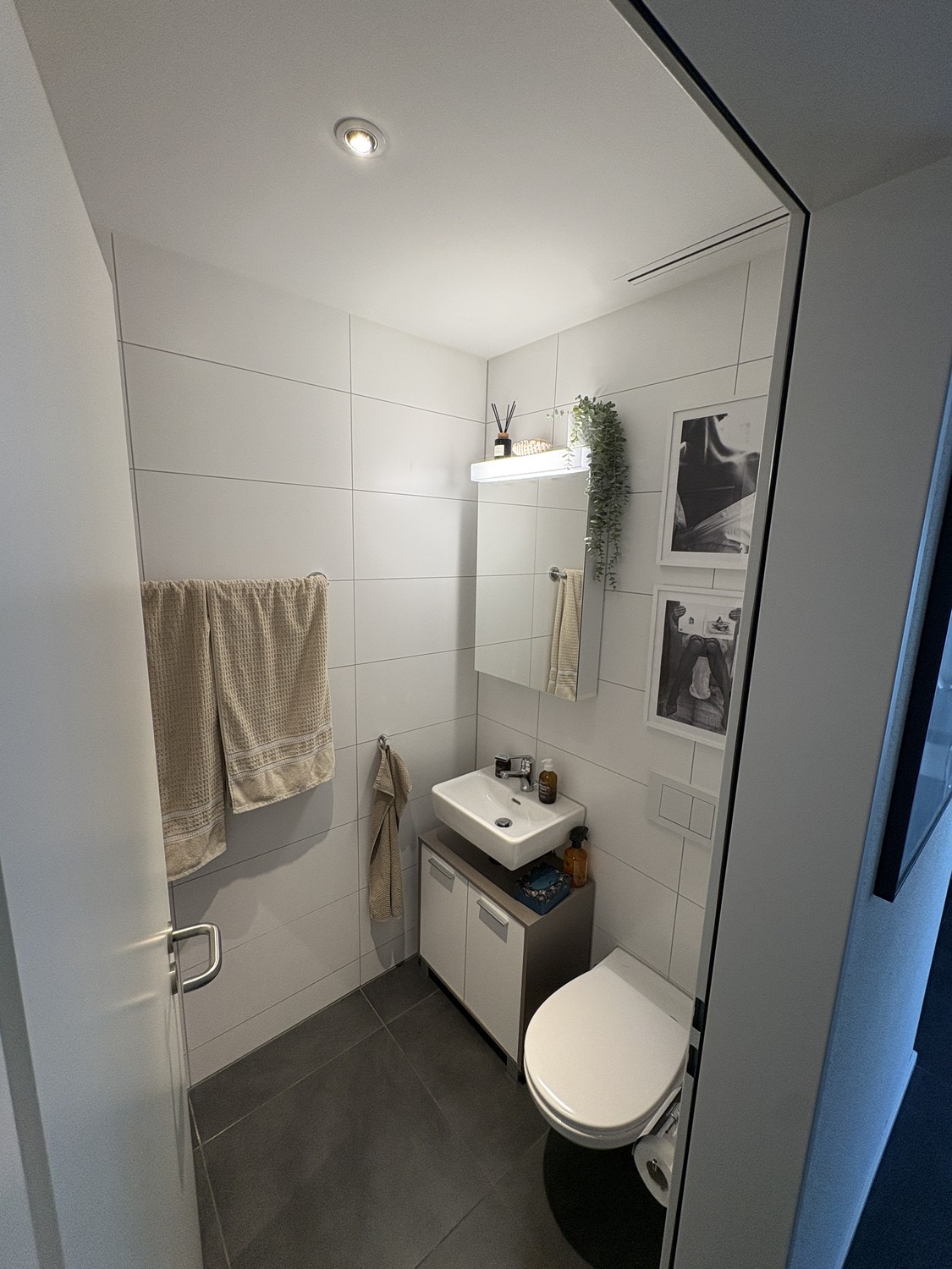 2 ½ rooms apartment