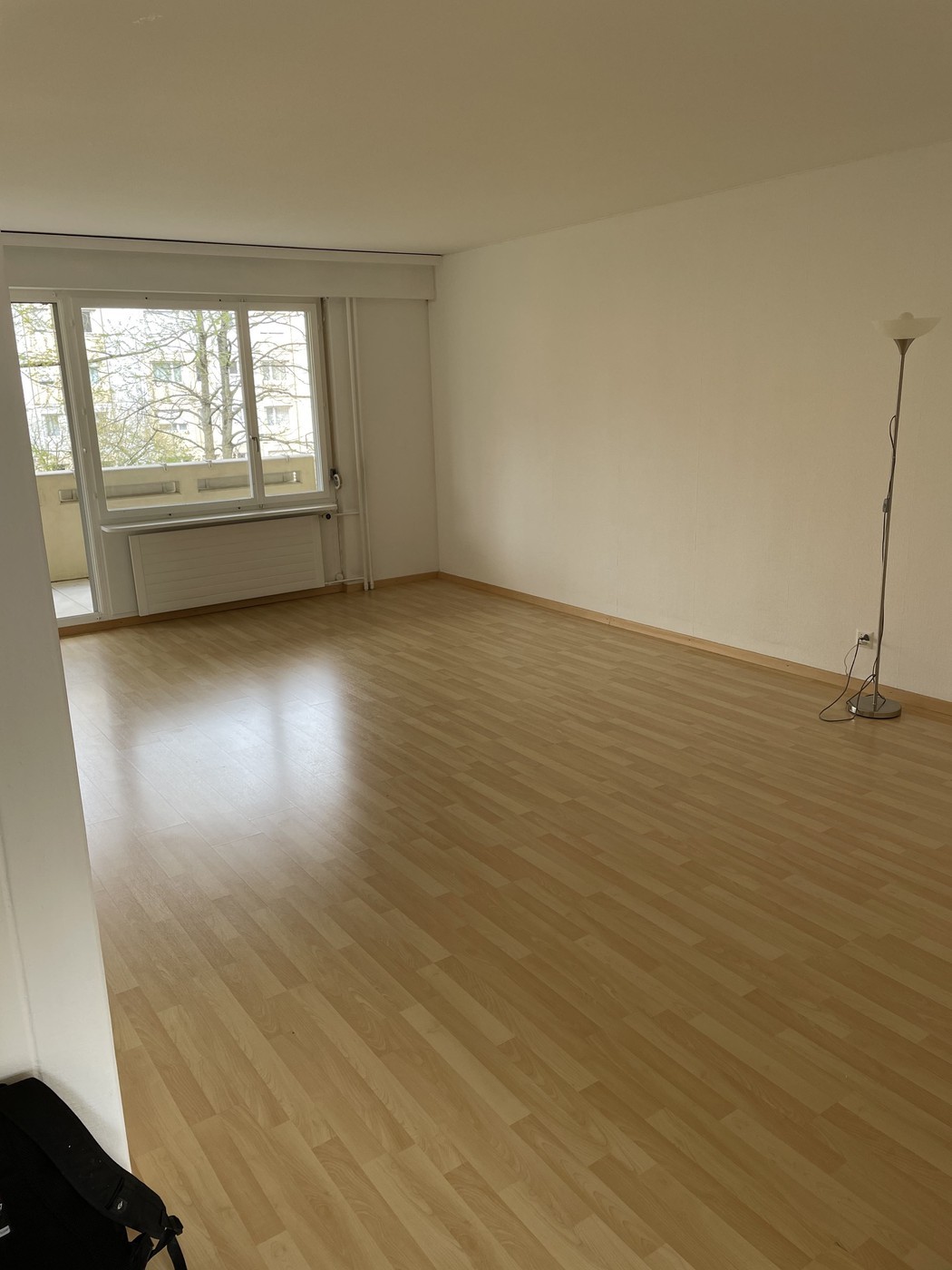 4 ½ pièces appartement (3)