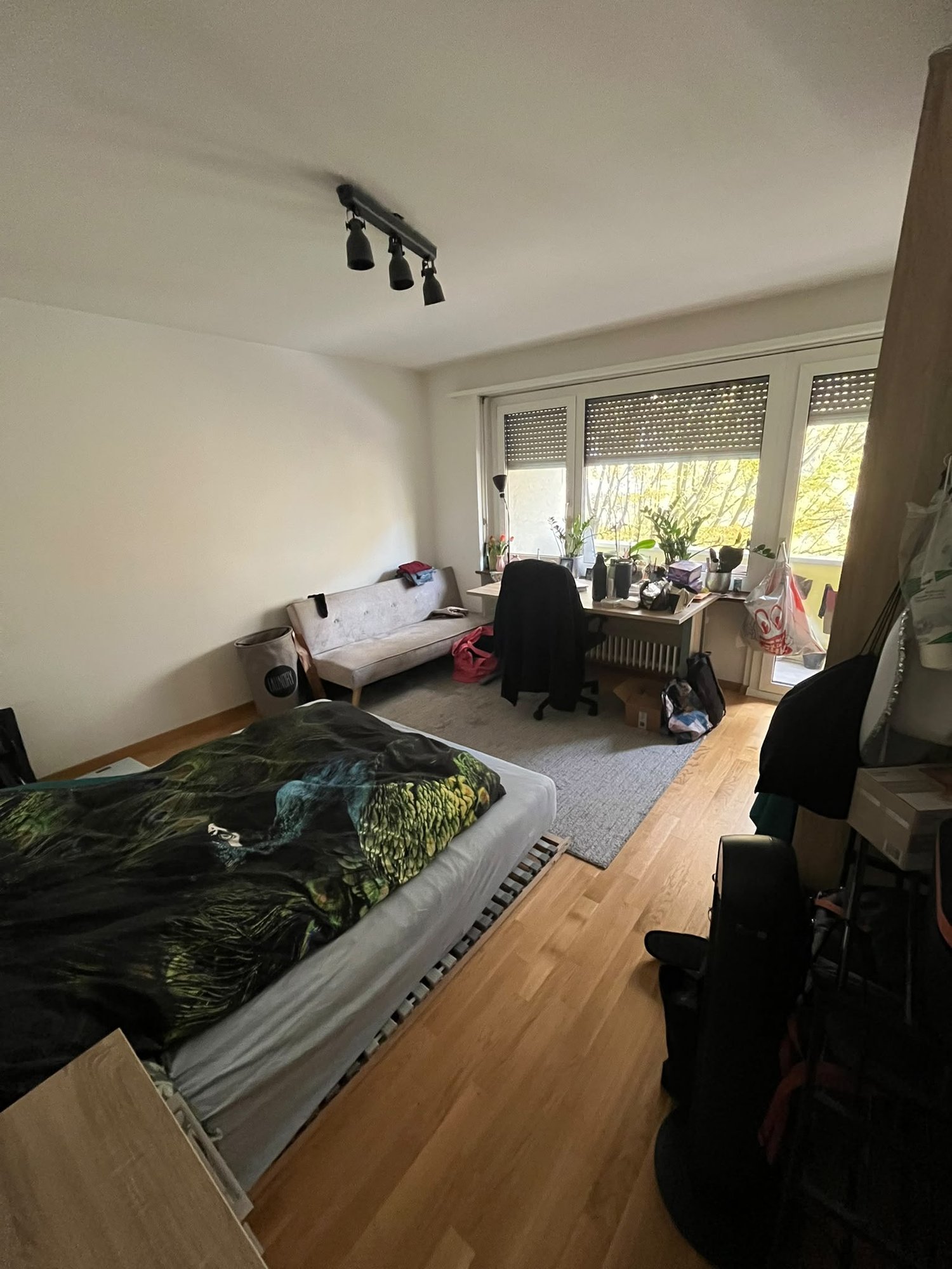 Room in a shared flat