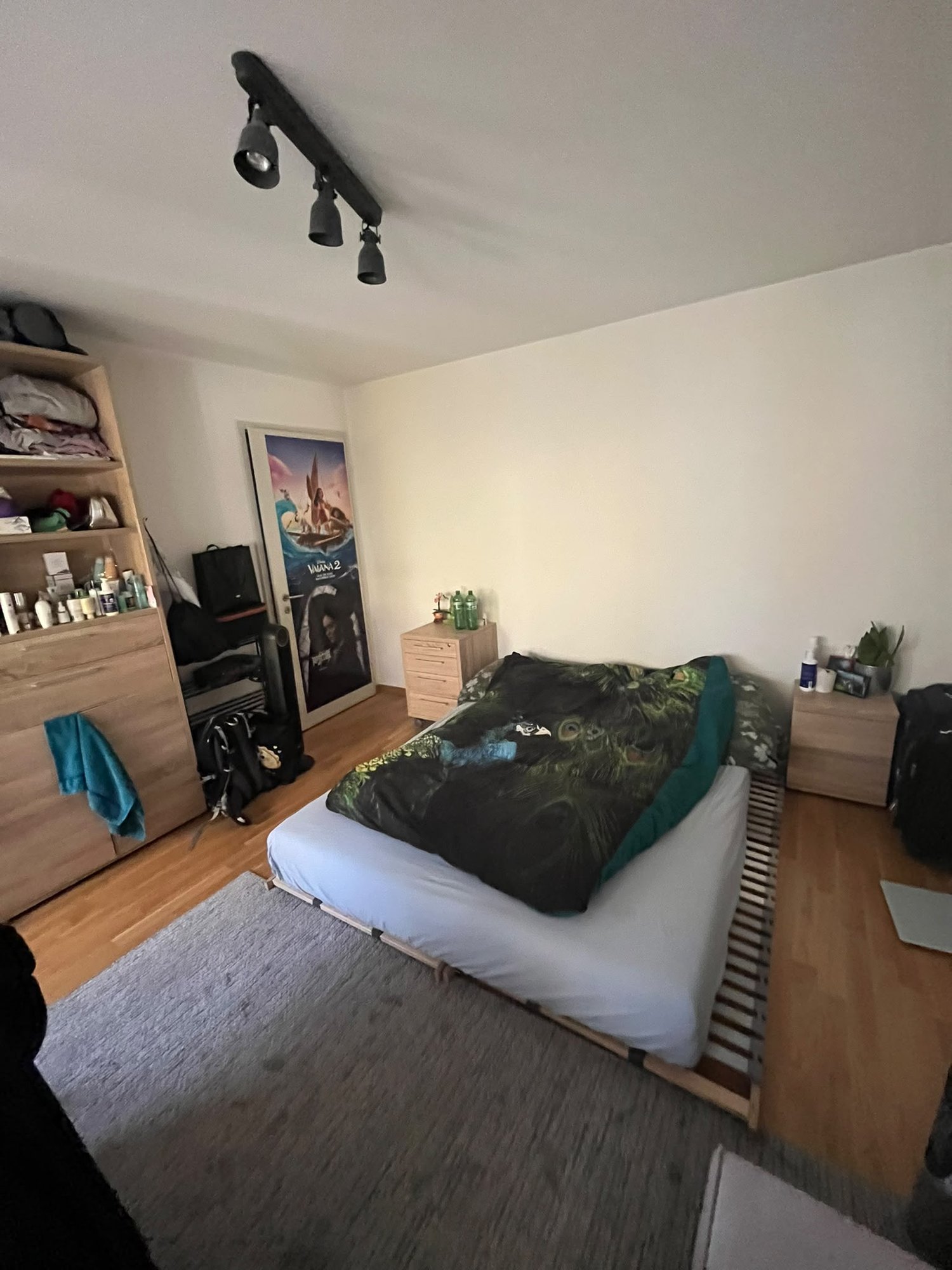Room in a shared flat