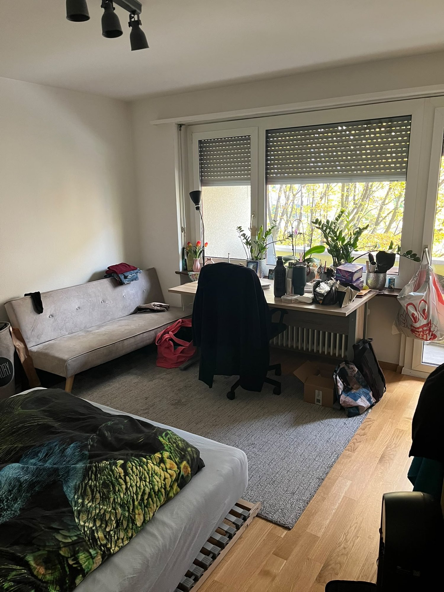 Room in a shared flat