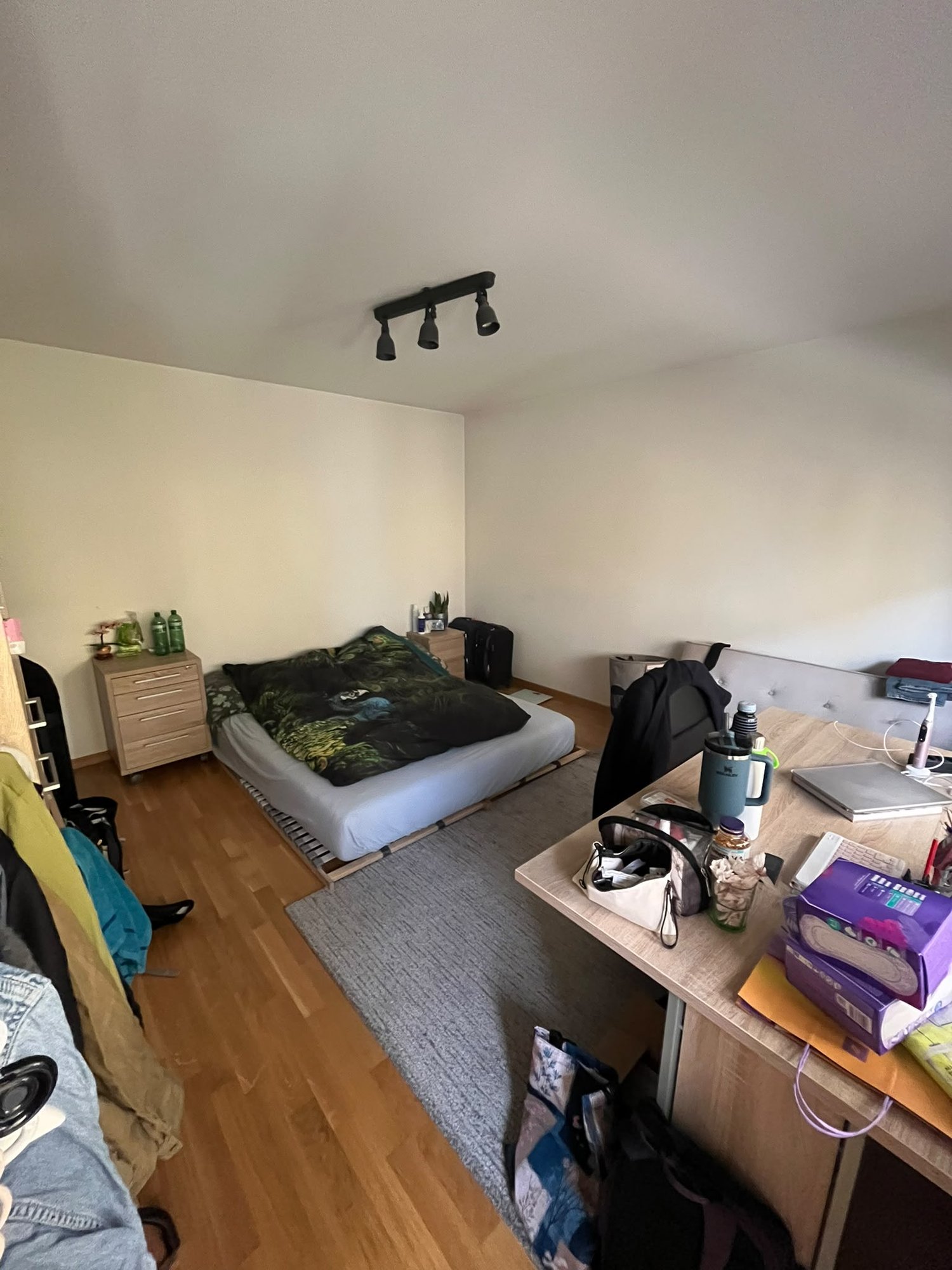 Room in a shared flat