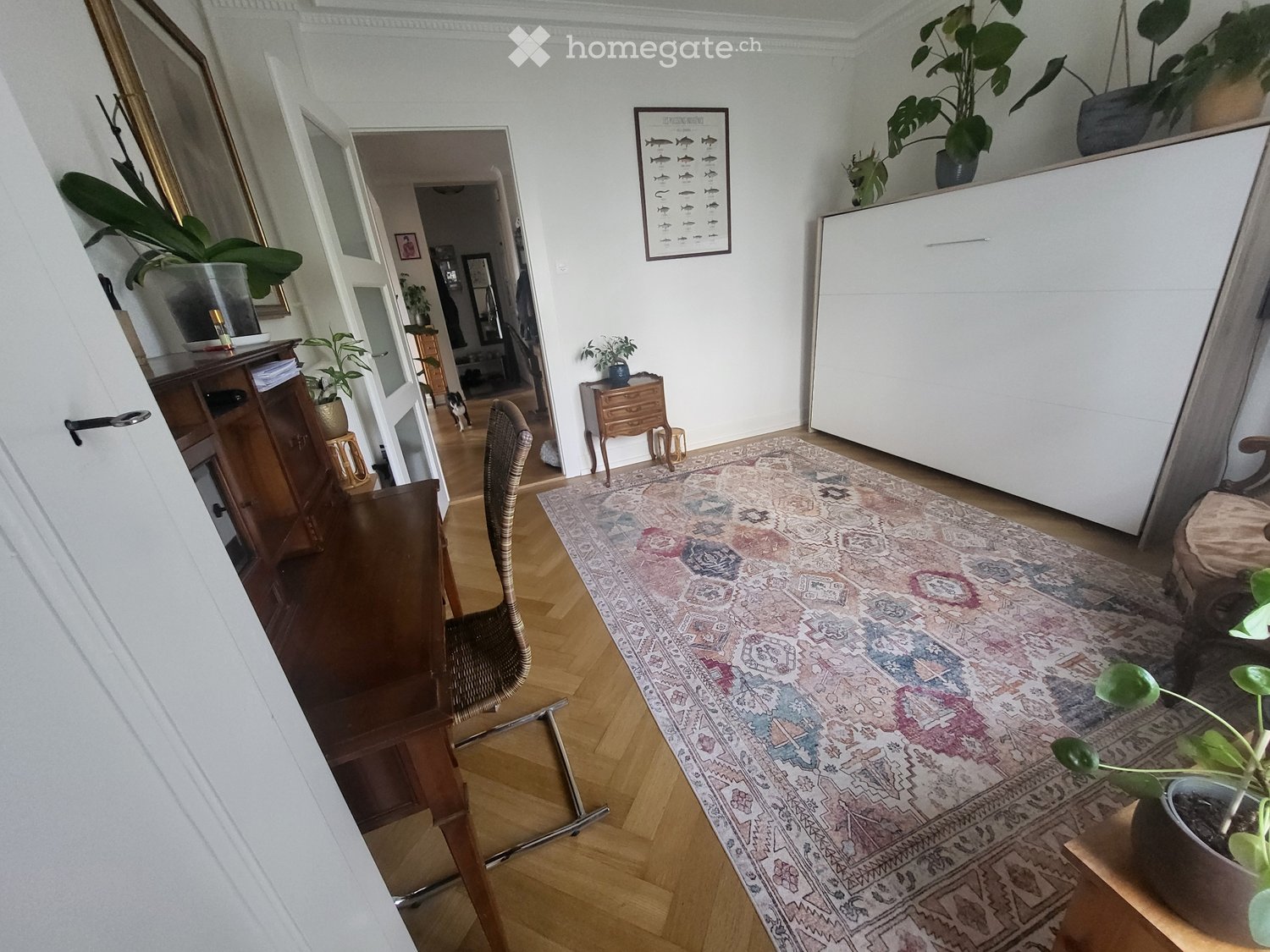 1 room single room