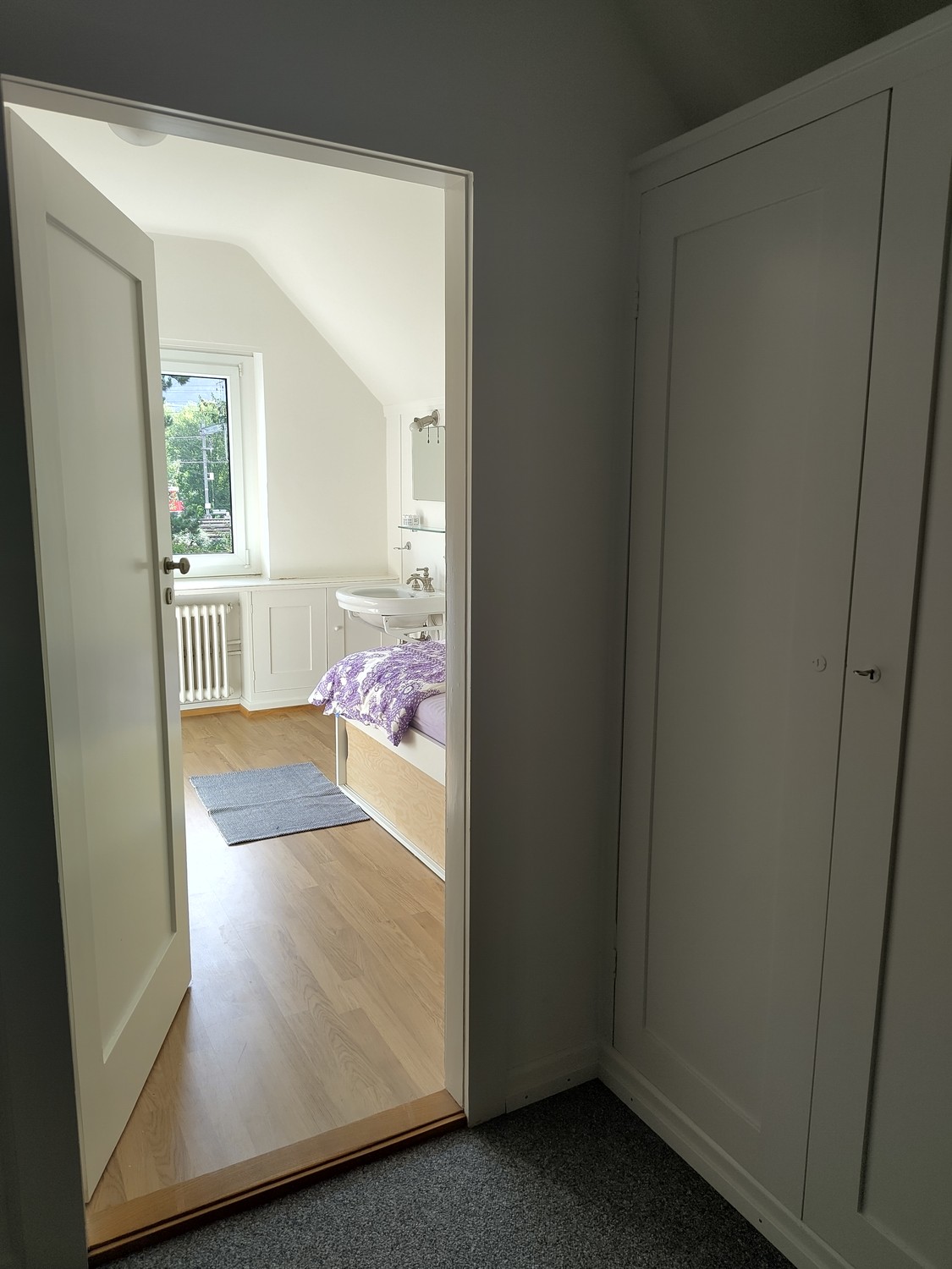 Room in a shared flat