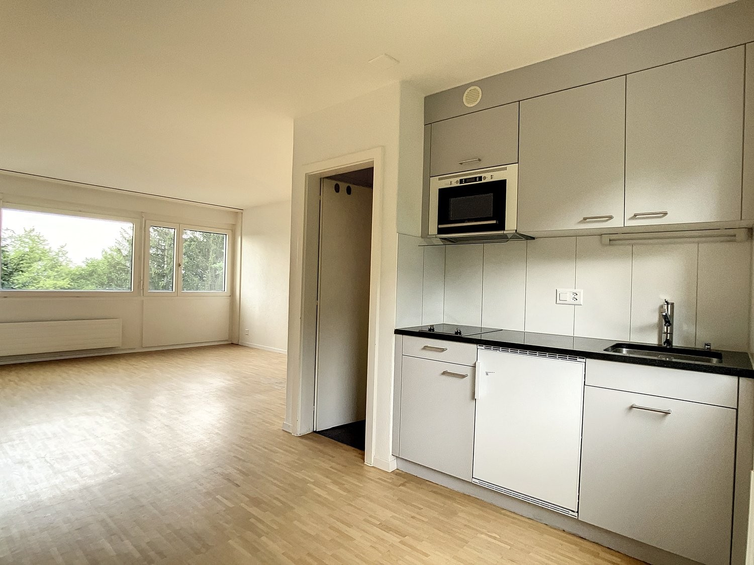 1 ½ rooms studio