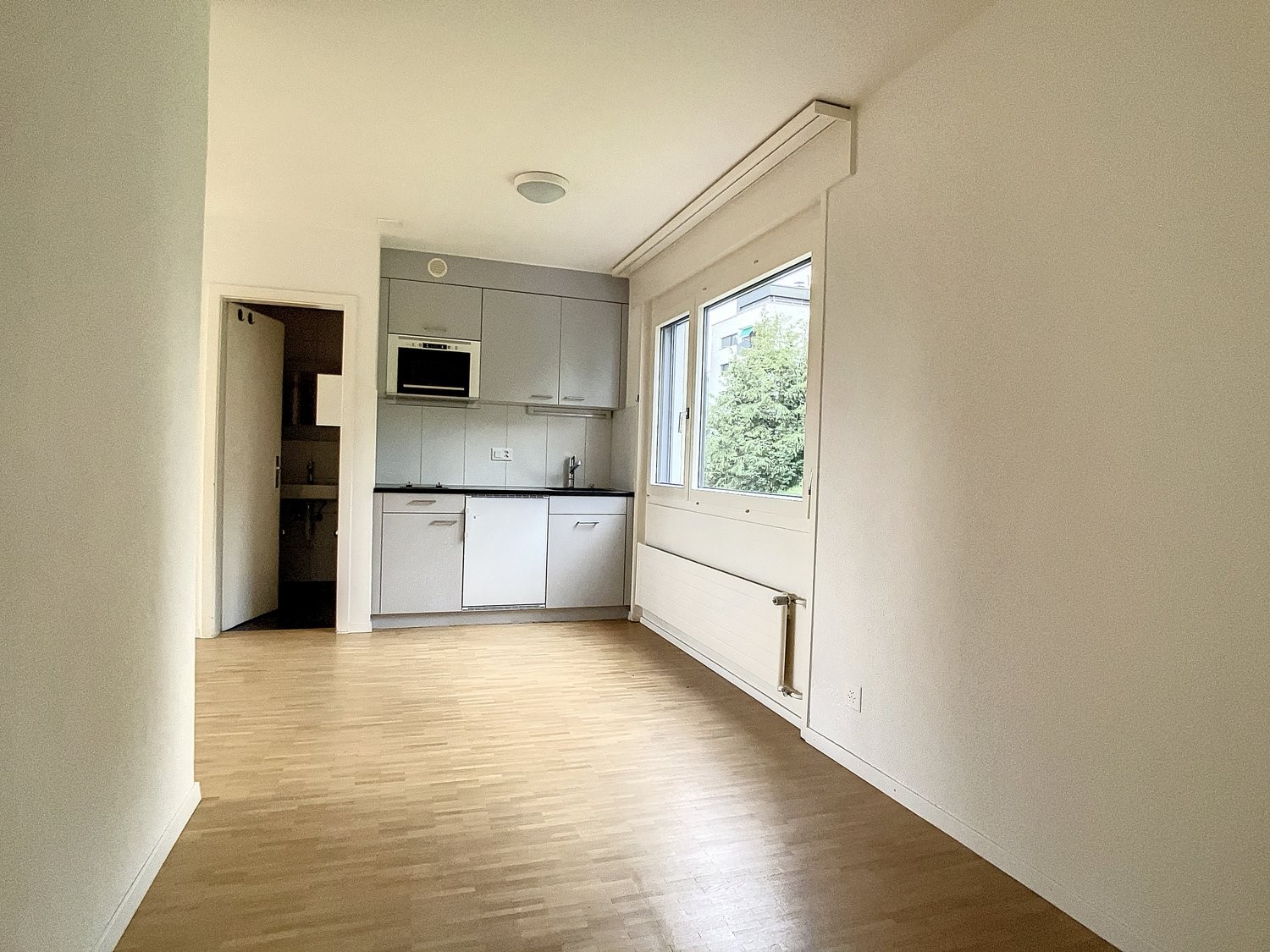 1 ½ rooms studio
