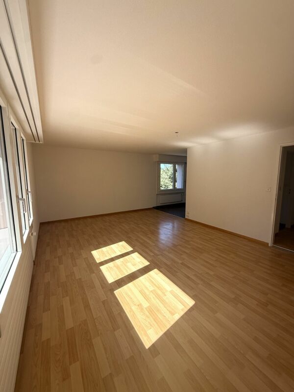 5 ½ pièces appartement