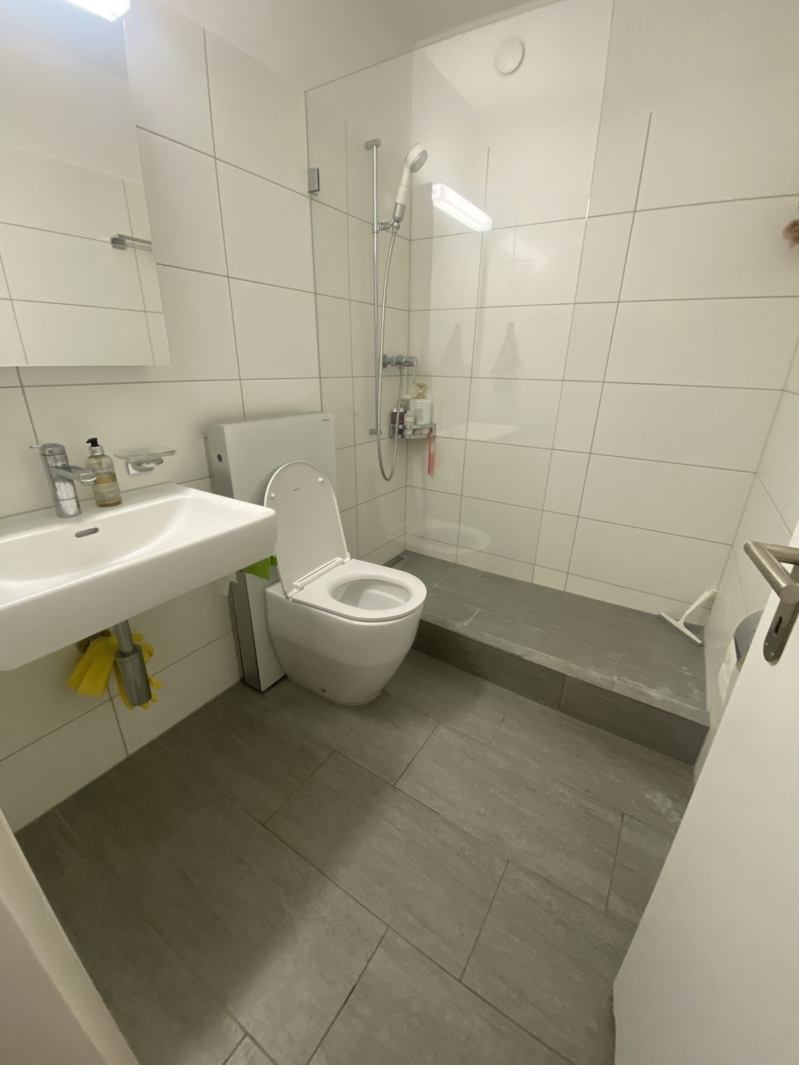2 ½ Zimmer-Wohnung