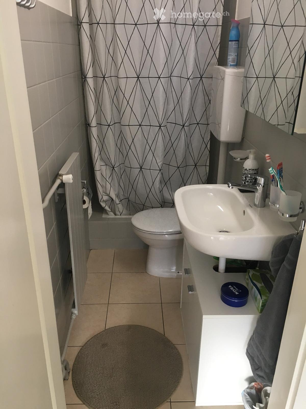 3 rooms apartment (4)
