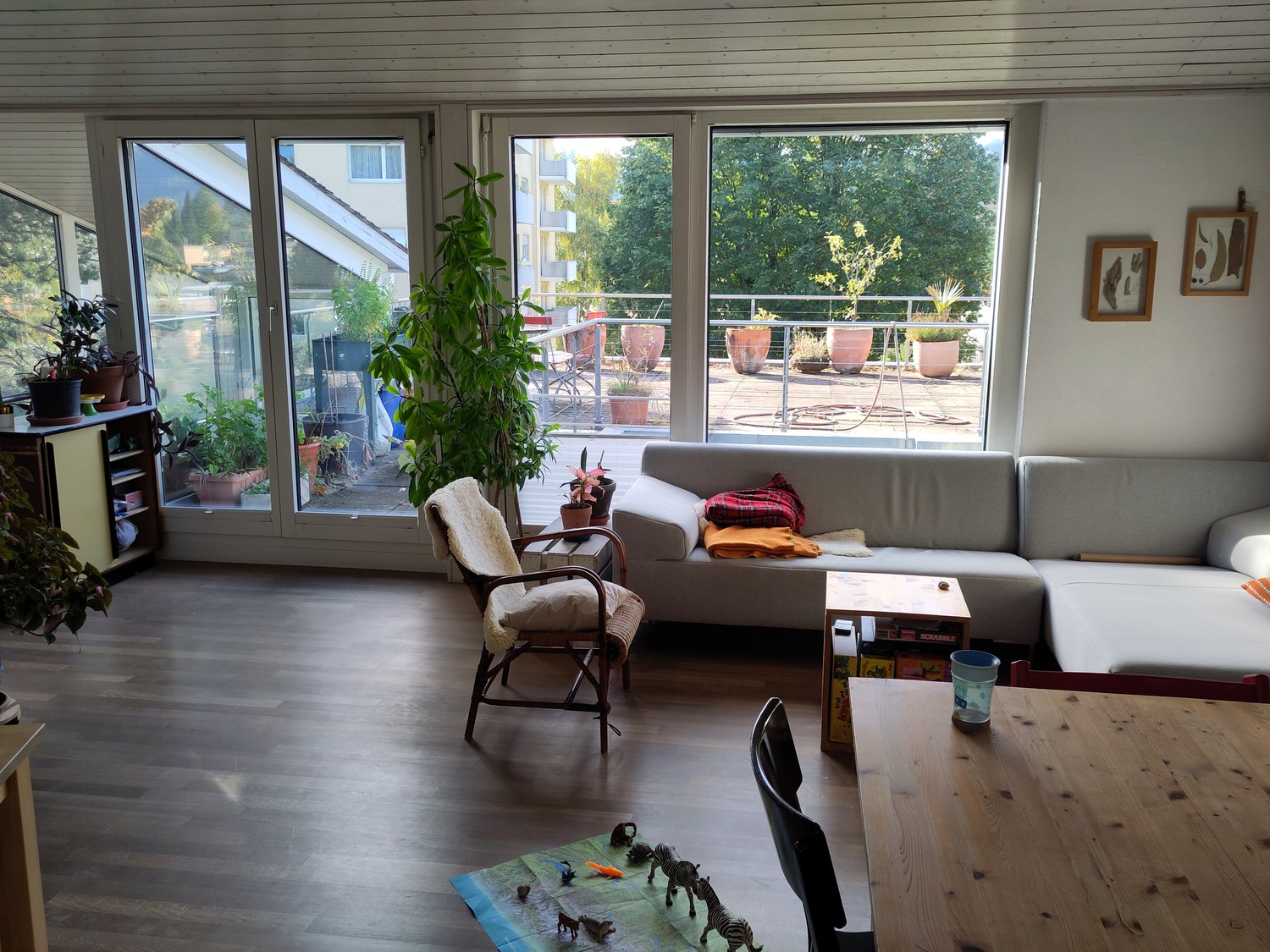 Room in a shared flat