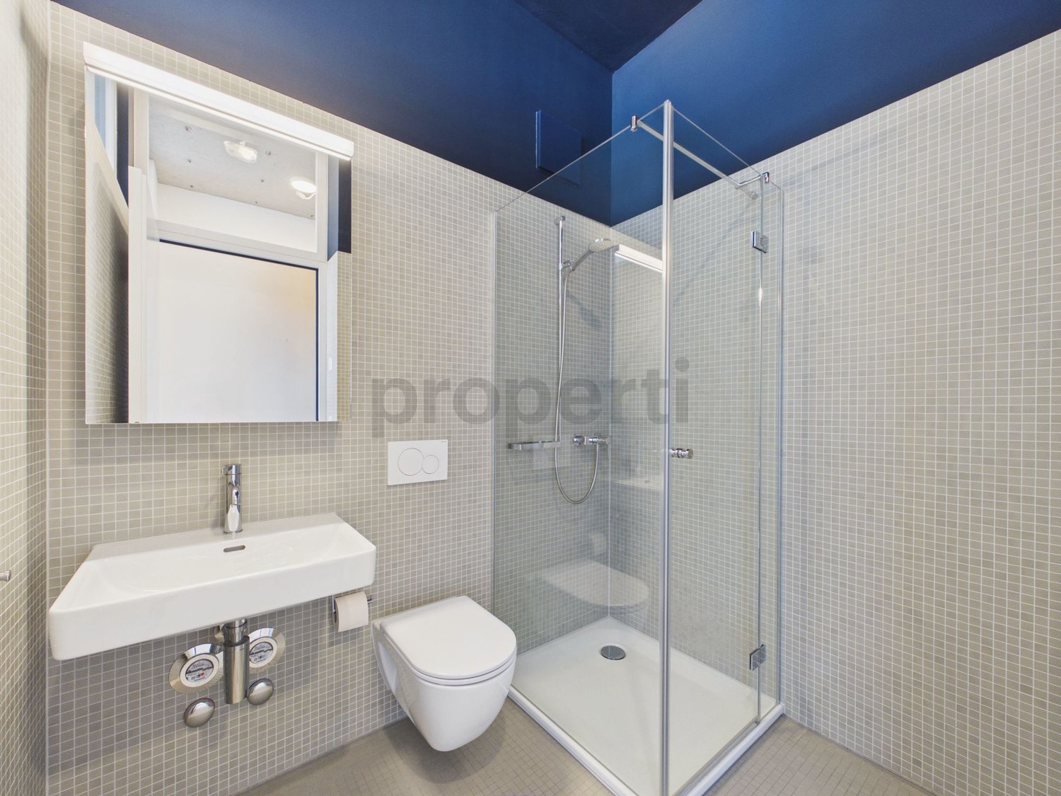 Appartement de 2 ½ pièces