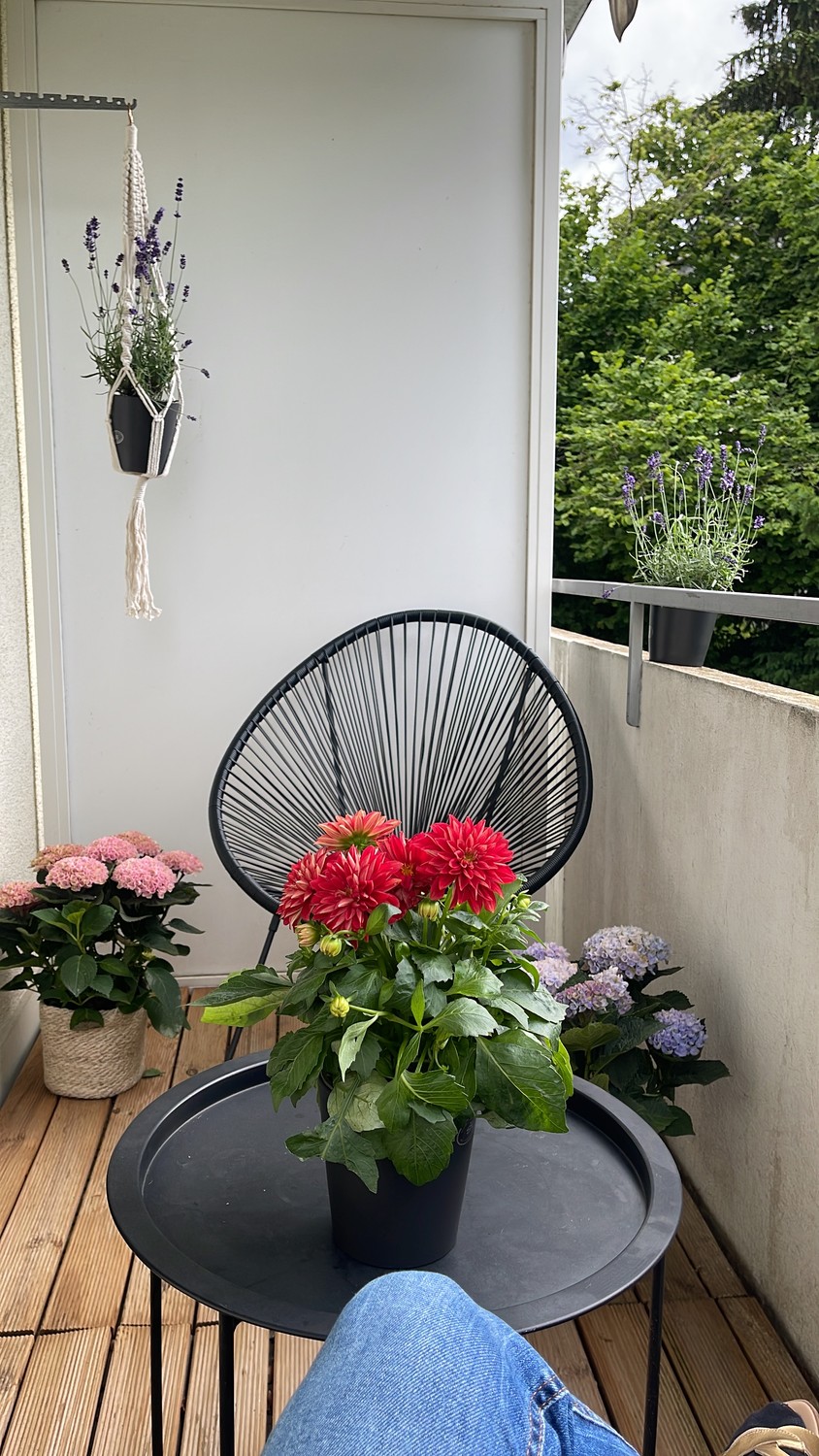 1 ½ rooms apartment, photo 9 of 10