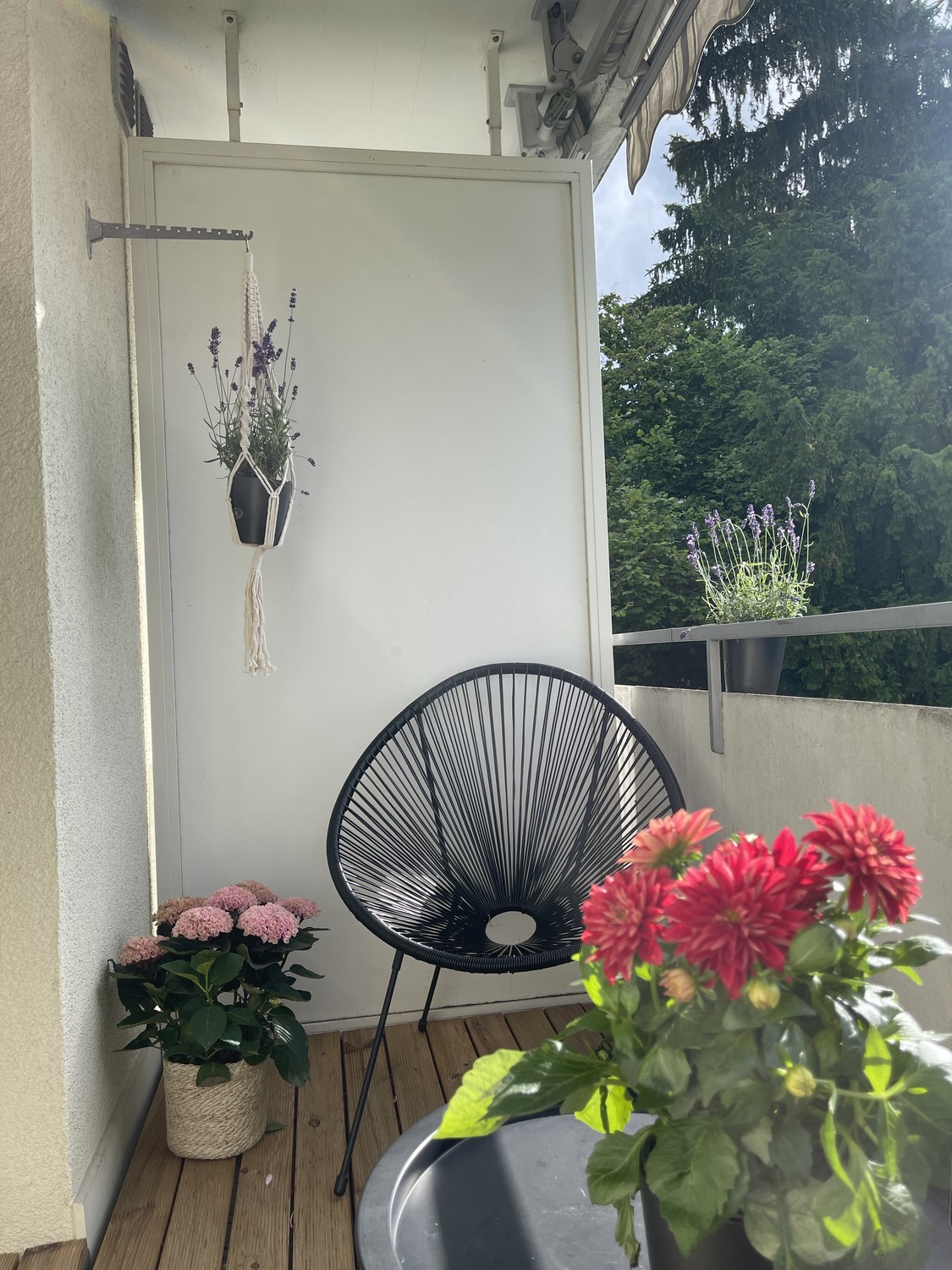 1 ½ rooms apartment, photo 10 of 10