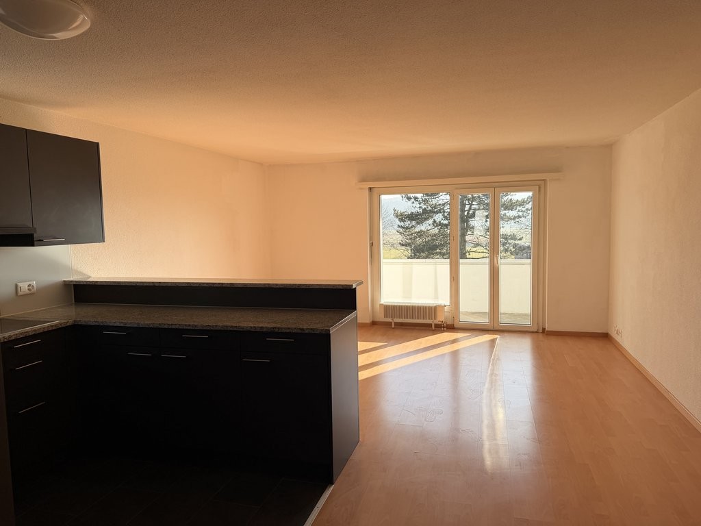 4 ½ pièces appartement
