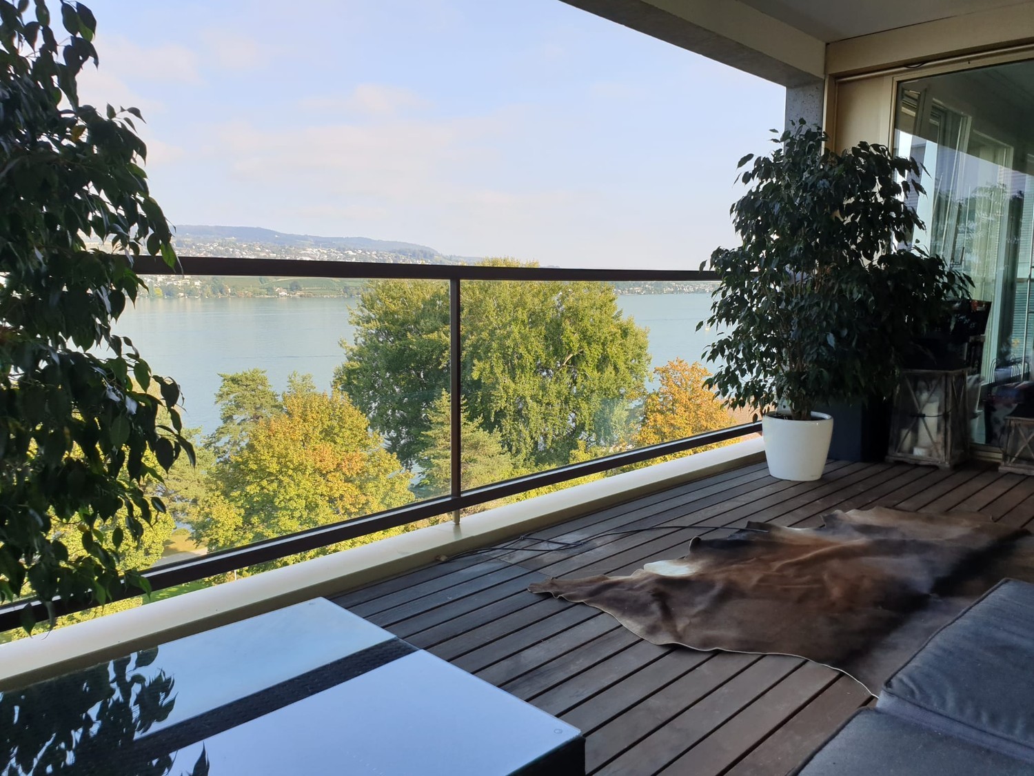 3 ½ Zimmer-Wohnung