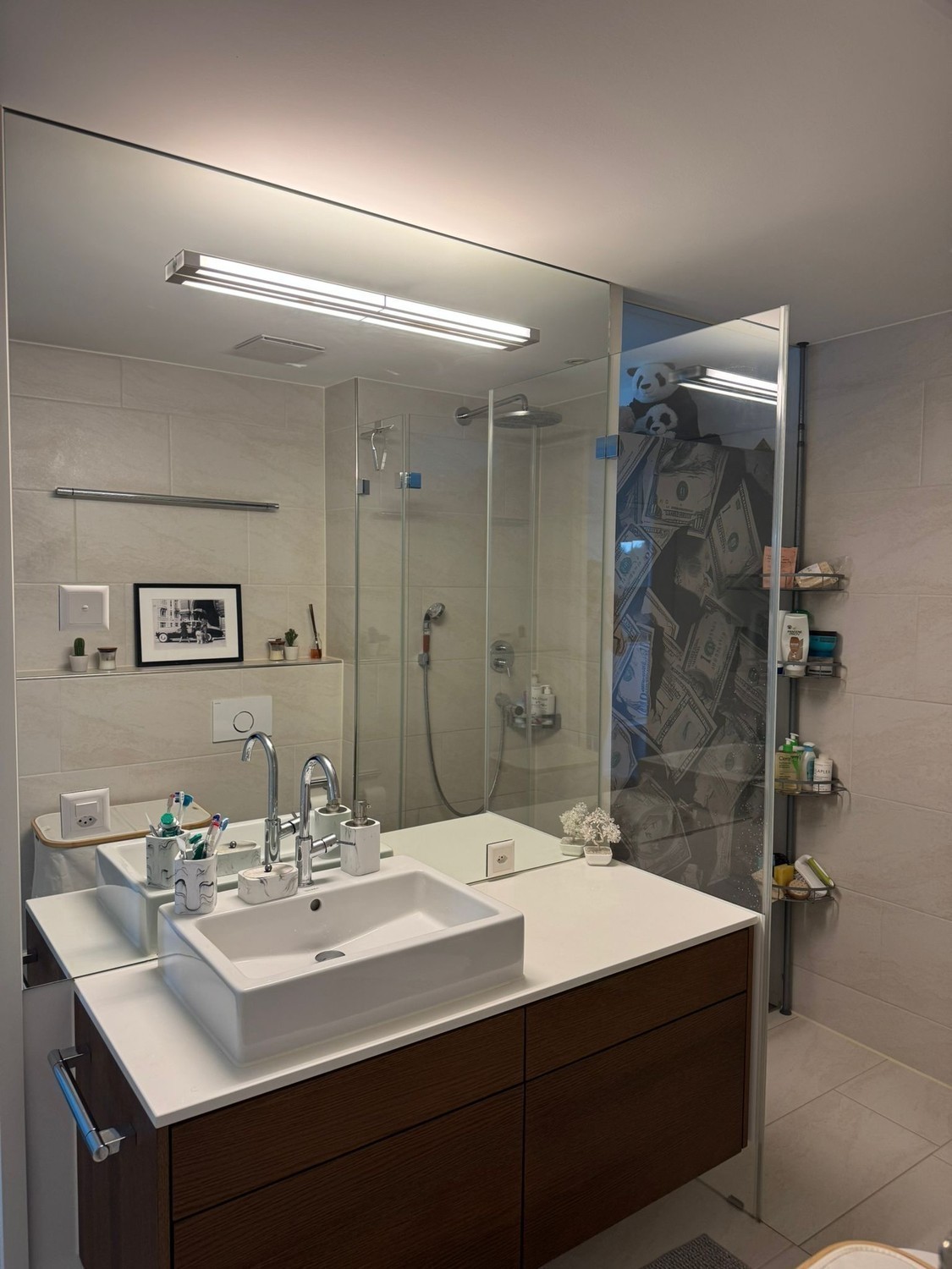 Room in a shared flat