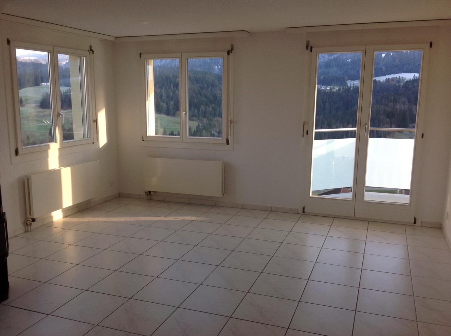 4 ½ rooms apartment