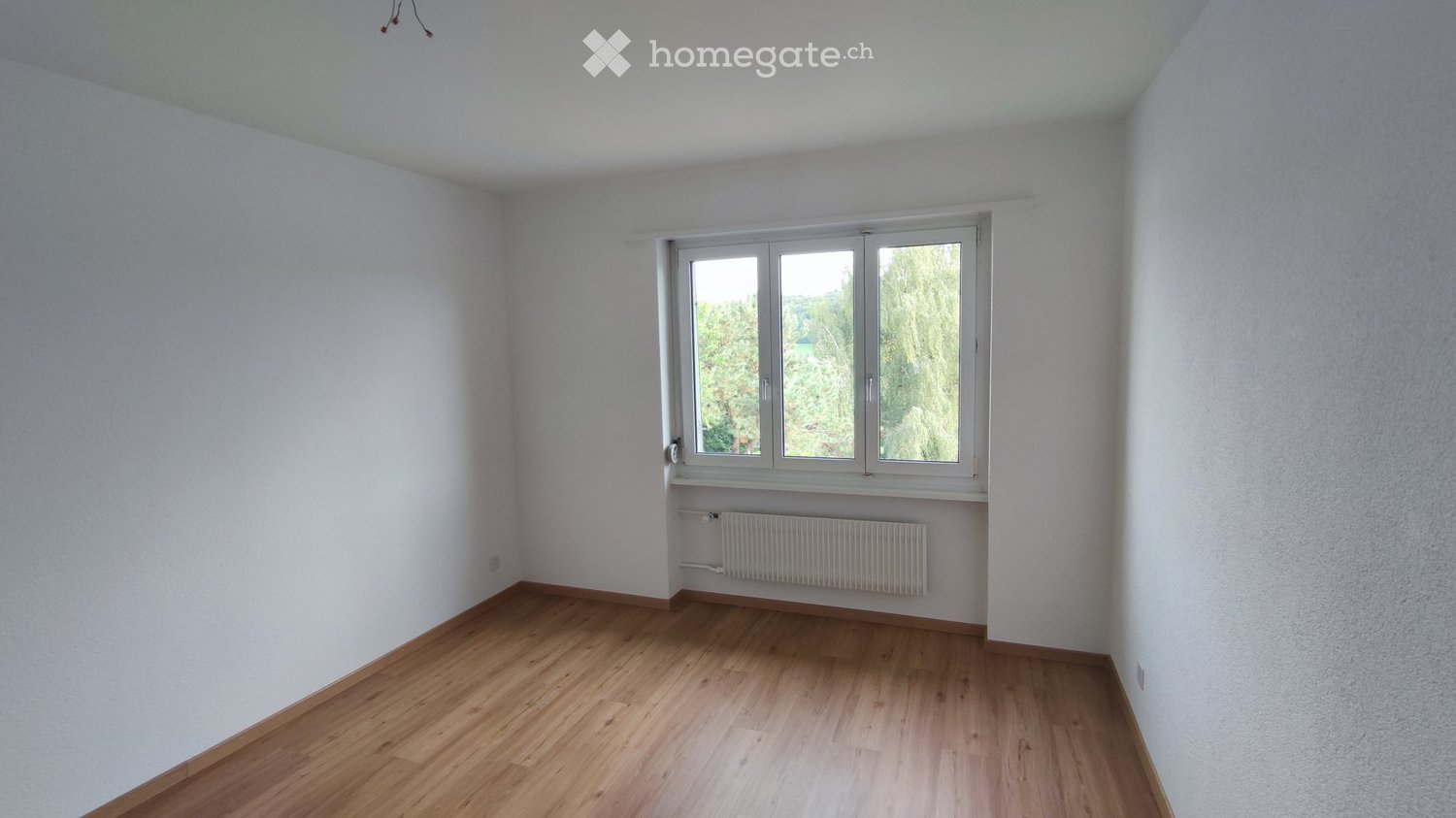 1 room single room