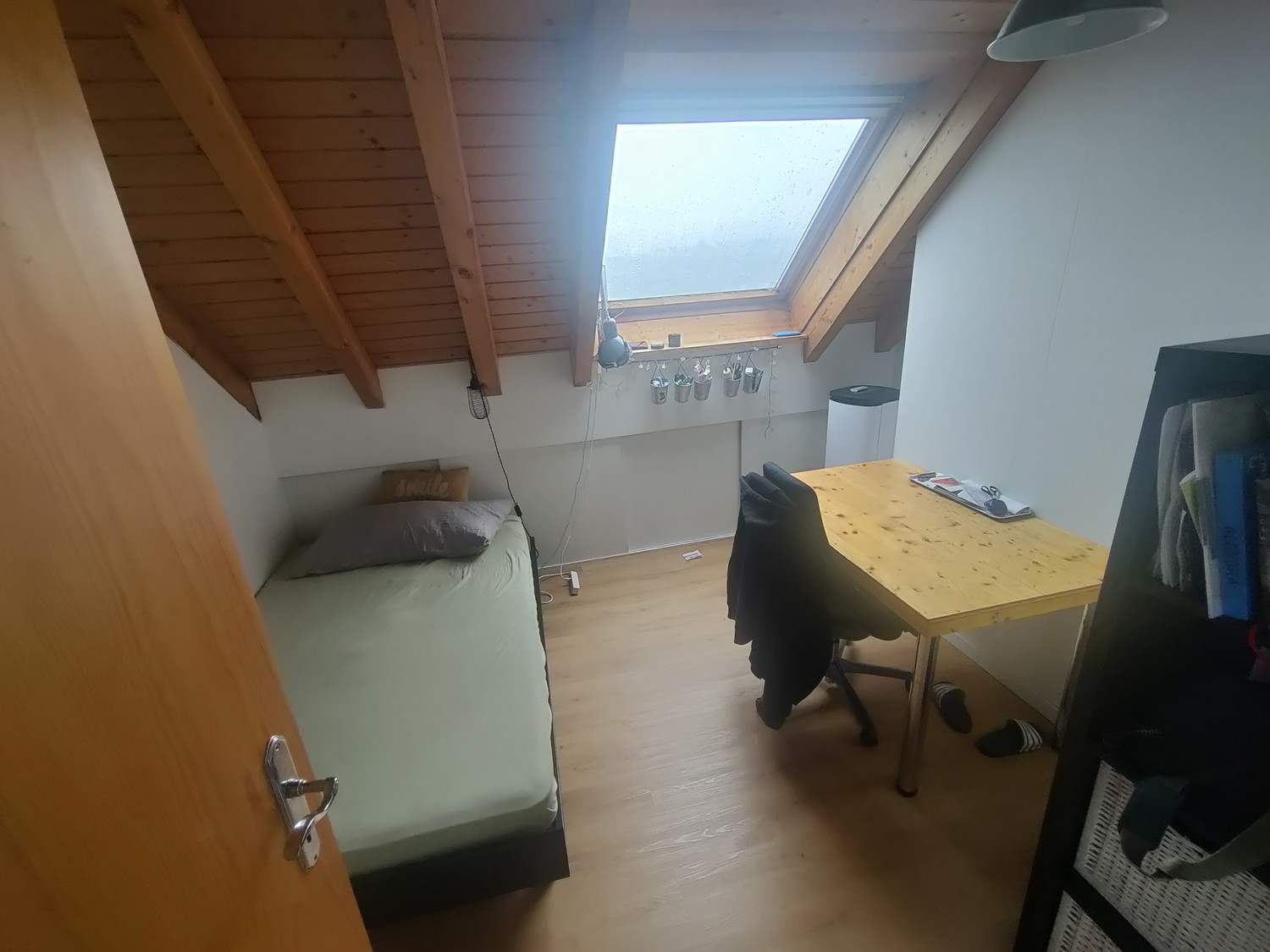 Room in a shared flat