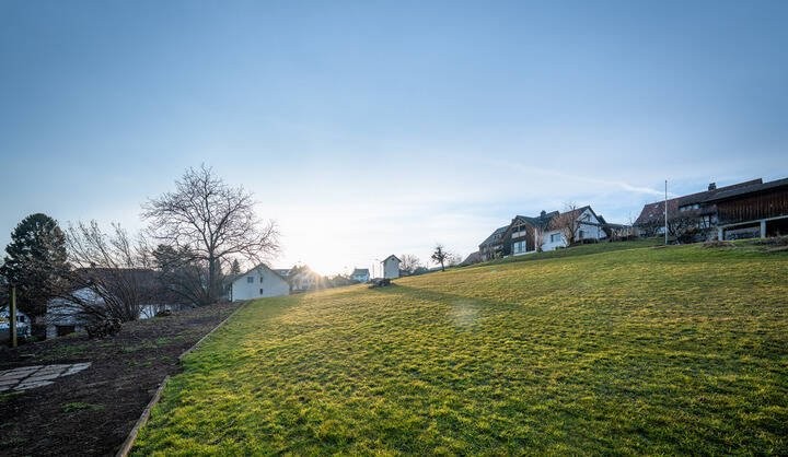 2466m² building land, photo 6 of 9
