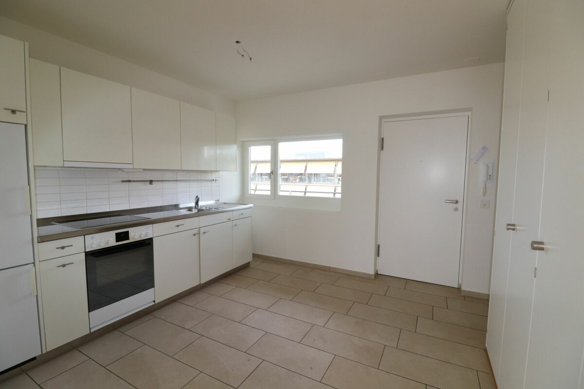appartement 1 pièce