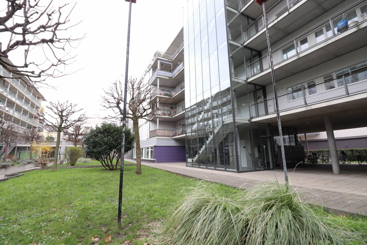 appartement 1 pièce