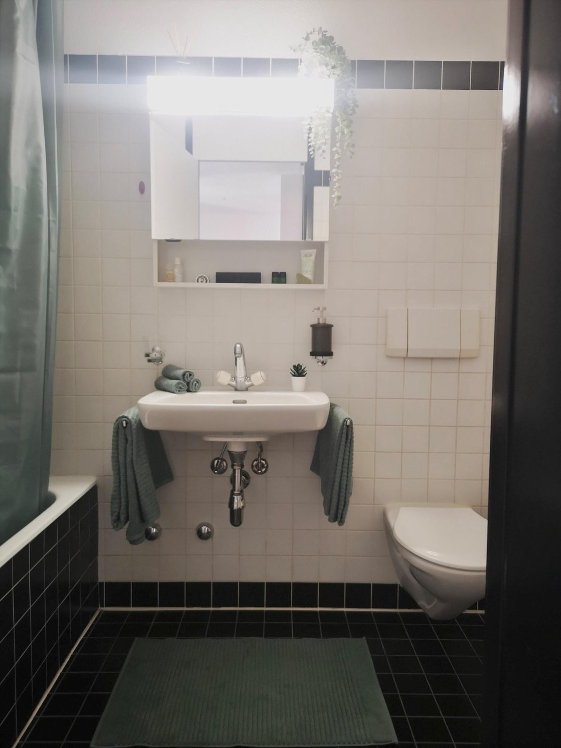 Appartement de 3 ½ pièces